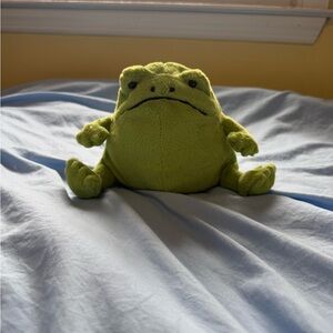 Jellycat Ricky rain frog